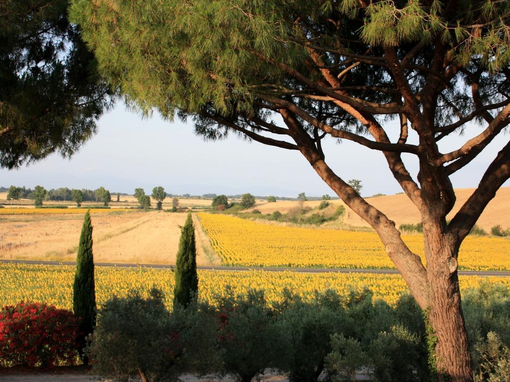 Peretti Farm stay *