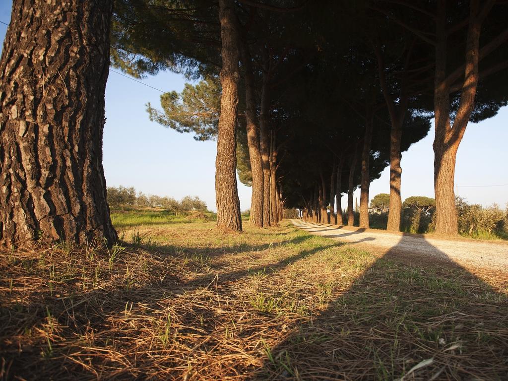 Farm stay Peretti Fonteblanda